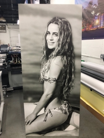 Gatorboard Prints & Signs